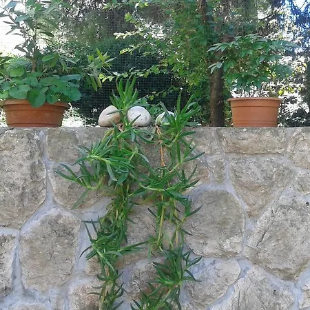 Apartman Crncevic Apartmán Dubrovník